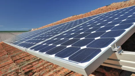 Solar energy for Wellington schools