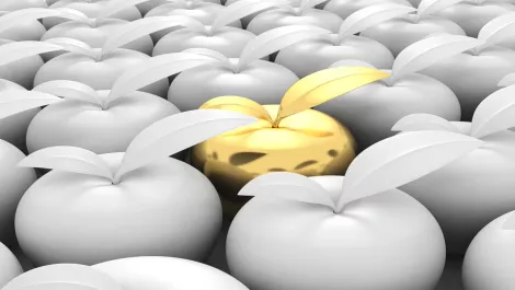 Thinkstockphotos 490048586